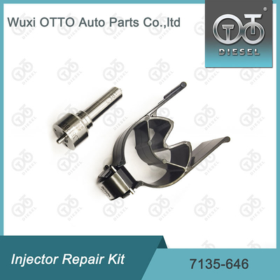 7135 - 646 Delphi Injetor Repair Kit