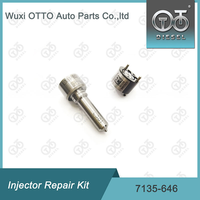 7135 - 646 Delphi Injetor Repair Kit