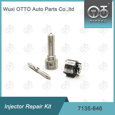 7135 - 646 Delphi Injetor Repair Kit