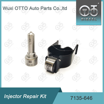 7135 - 646 Delphi Injetor Repair Kit