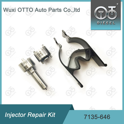 7135 - 646 Delphi Injetor Repair Kit