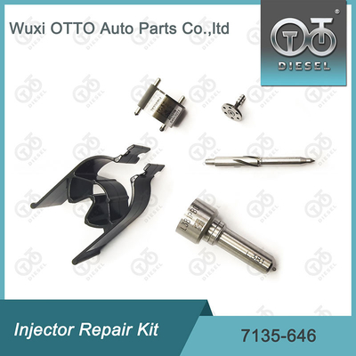 7135 - 646 Delphi Injetor Repair Kit